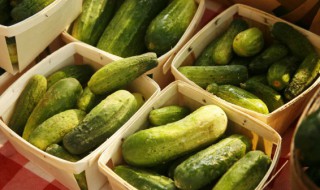 黄瓜可以放冰箱冷藏吗(西红柿和黄瓜可以放冰箱冷藏吗)