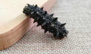 海参的最佳食用方法 海参的食用方法海参怎么吃