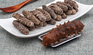 正确发海参的方法(如何发海参最好方法)