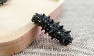 冻海参怎么泡发 冻海参怎么泡发最好窍门