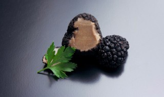 黑松露煲鸡汤的方法 黑松露煲鸡汤功效