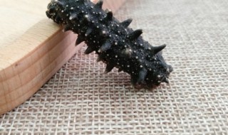 泡发海参方法（泡发海参方法全过程）