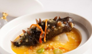 怎么泡海参的方法 怎样泡海参最好方法