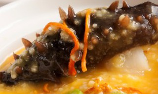 8小时速发海参发泡方法（6小时快速泡发海参）