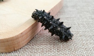 进口海参的泡发方法 海参要怎么样泡发