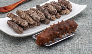 海参表皮处理方法（海参外皮怎么处理干净）