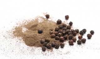 胡椒种植条件及种植方法介绍 胡椒的种植条件