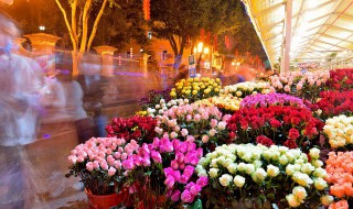 南方三月份适合种什么花（南方一般哪些季节适合种花）