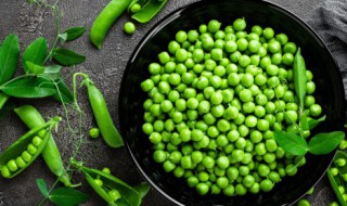 豌豆怎么保存可以放冰箱么 豌豆可以放冰箱保存吗