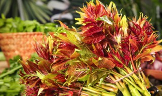 香椿芽炒鸡蛋的做法还要焯水吗（香椿芽炒鸡蛋的做法还要焯水吗窍门）