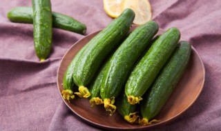 黄瓜不催芽几天出苗(黄瓜几天发芽出苗)