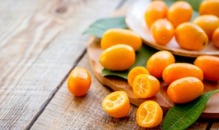 盆栽桔子树如何管理冬天能倒盆吗 盆栽桔子树怎么过冬