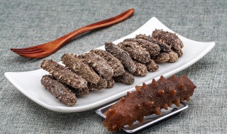海参烹饪方法（海参的制作方法烹调方法）