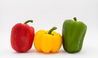 清炒圆椒怎么做 如何炒圆椒