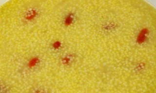 小米可以泡一晚上煮吗（小米可以晚上泡水隔天煮吗）