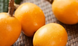 枇杷果可以放冰箱保鲜吗 枇杷果可以放冰箱保存吗