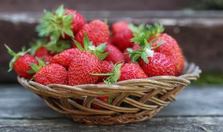 盆栽四季草莓怎么种植（四季草莓可以盆栽吗）