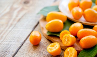 盆栽桔子树几年能结果 桔子树几年能结果