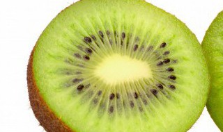 猕猴桃籽可以做盆栽吗 猕猴桃可以盆栽吗?