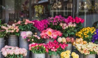 牡丹喜欢碱性还是酸性 牡丹喜欢碱性还是酸性土壤