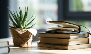 盆栽芦荟的作用 室内盆栽芦荟的芦荟有什么用