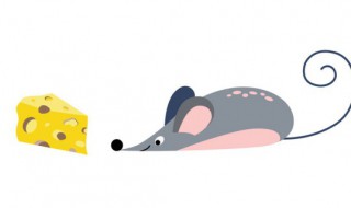 粘老鼠的胶在手上怎么洗掉 粘老鼠的胶弄在手上怎么洗掉