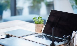 好听不常见的网名女(非常好听的女网名)