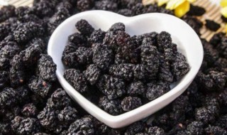 桑葚干怎么制作方法（烤箱桑葚干怎么制作方法）