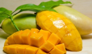 芒果什么季节吃最好（芒果什么季节的好吃）
