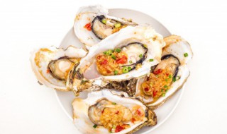 生蚝什么季节吃最好（生蚝什么季节吃最好吃）