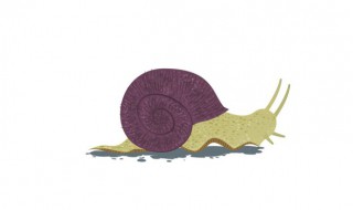 蜗牛粘液有毒吗（蜗牛粘液有毒吗?可以拿着玩不?）