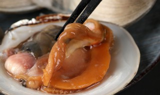 月亮贝蒸多长时间 日月贝蒸多长时间