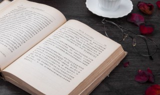 森系暖心治愈系网名 好听的森系网名唯美