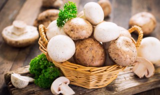 蘑菇菌包怎么种植(买的蘑菇菌包怎么种植)