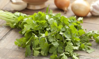 高温季节要如何种植香菜（香菜适合种植的温度）