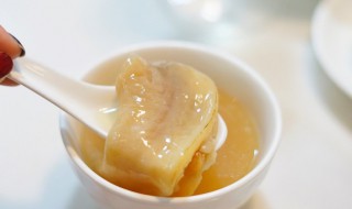 鳕鱼胶怎么泡发（鳕鱼胶怎么泡发最好）