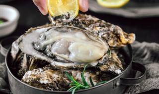 生蚝干怎么泡发 生蚝干怎么泡发怎么做好吃