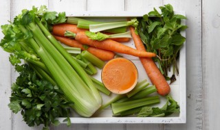 野芹菜怎么种植（野芹菜怎样种植）