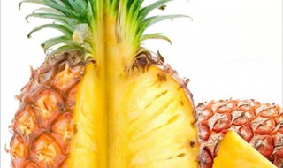 香水菠萝种植技术 香水菠萝哪里产的