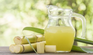 甘蔗种植前景如何（甘蔗发展前景）