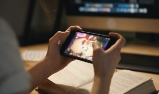 元气骑士哪个宠物最稀有（元气骑士有多少宠物）