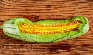 羊角蜜的栽培技术 羊角蜜栽培技术管理