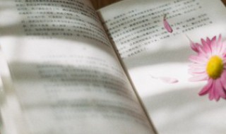 夫物之不齐物之情也是什么意思 夫物之不齐 物之情也什么意思