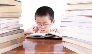 阍的组词 阍的组词是什么