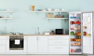 冰箱发泡层在哪（冰箱发泡层坏了会怎样）