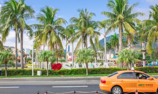 三亚第一市场在哪里 三亚第一市场是干嘛的