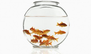 鱼缸可以放在窗台上吗（鱼缸能放在窗台上吗）