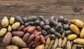 冬季家庭如何储藏红薯(冬季红薯的储存方法)