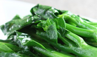 青菜头种子种植方法与时间（青菜头种子播种时间）