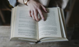 巕字组词（yα字组词）